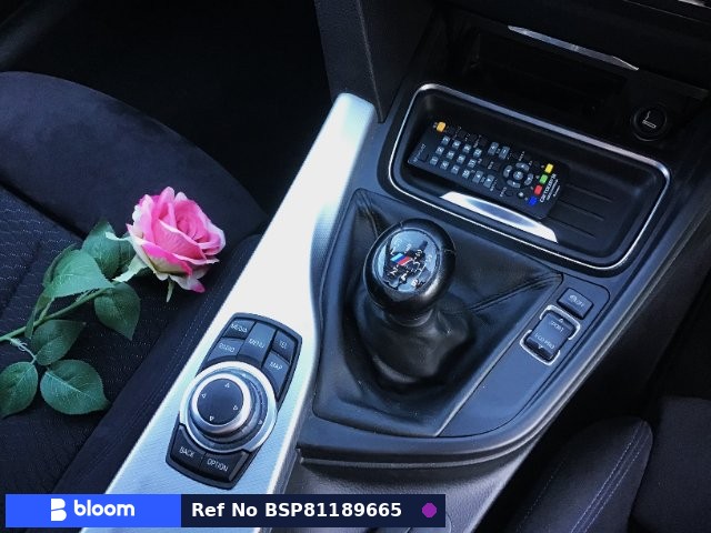 2013 BMW 3 Series