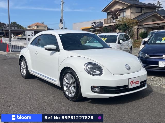 2016 Volkswagen THE Beetle