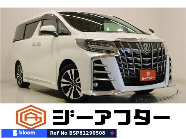 2019 Toyota Alphard