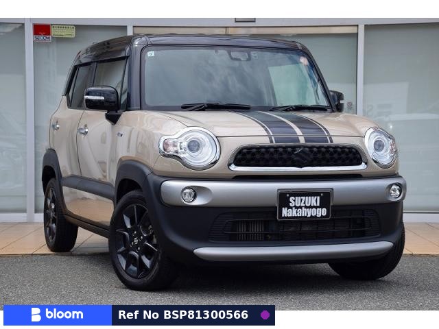 2019 Suzuki X BEE