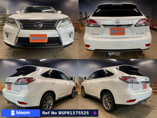 2013 Lexus RX