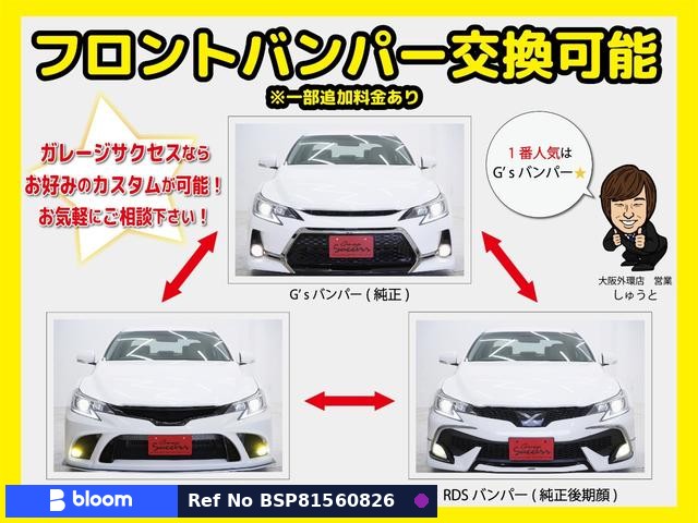 2010 Toyota Mark X