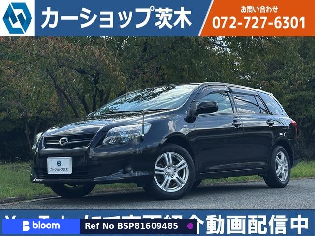 2010 Toyota Corolla Fielder