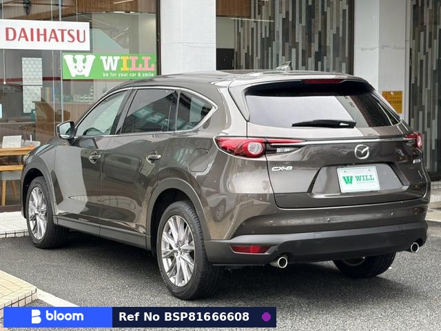 2019 Mazda CX-8