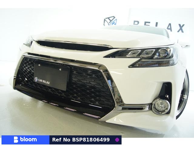 2010 Toyota Mark X