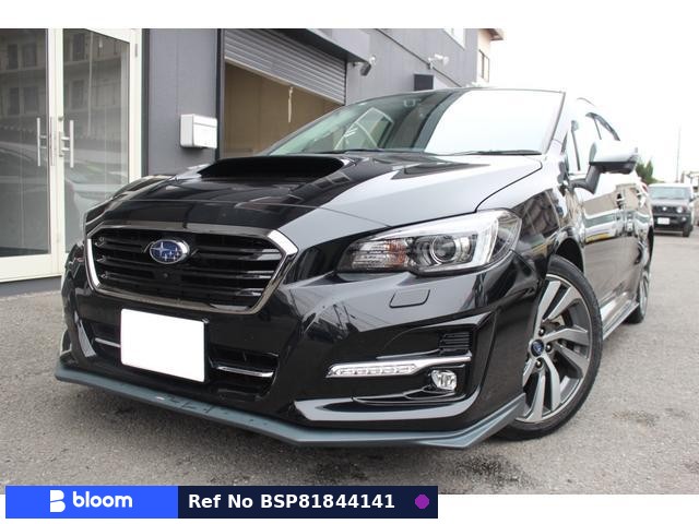 2019 Subaru Levorg