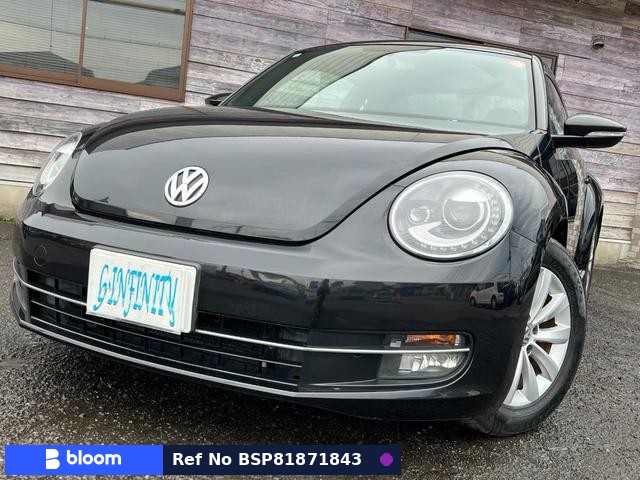 2012 Volkswagen THE Beetle