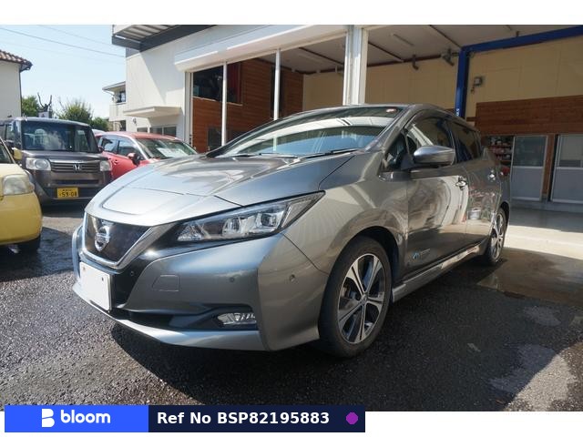 2018 Nissan Leaf
