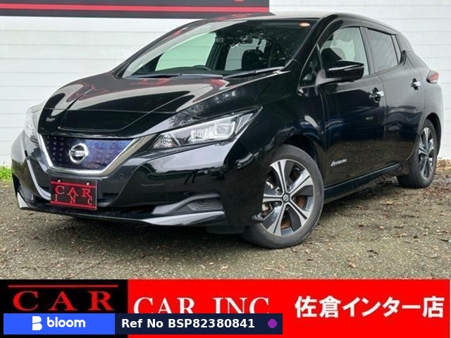 2020 Nissan Leaf