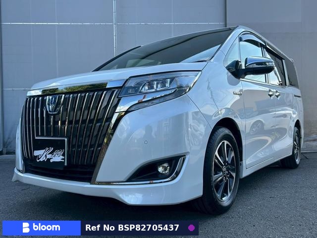 2019 Toyota Esquire