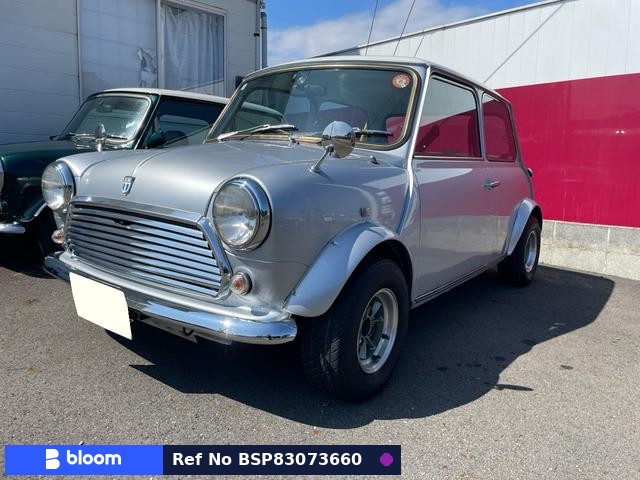 1991 Rover MINI