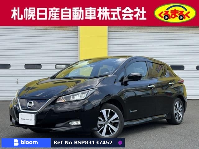 2020 Nissan Leaf