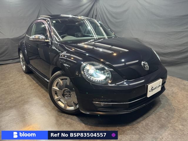 2013 Volkswagen THE Beetle
