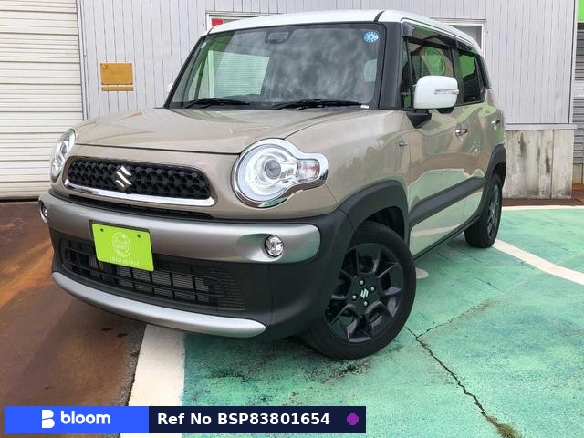 2018 Suzuki X BEE