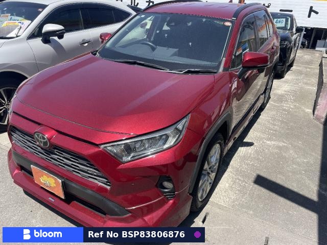 2019 Toyota RAV4