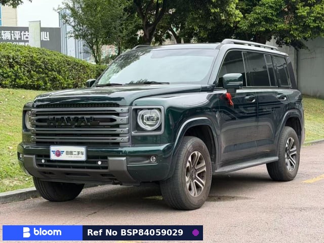2024 Great Wall Haval H9