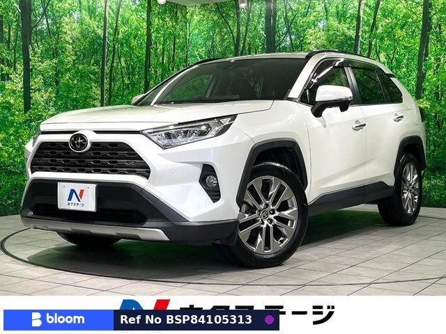 2020 Toyota RAV4