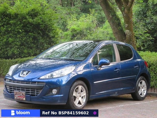 2010 Peugeot 207