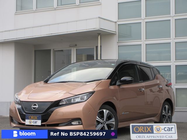 2021 Nissan Leaf