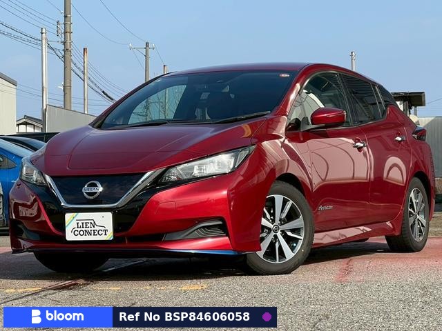 2019 Nissan Leaf