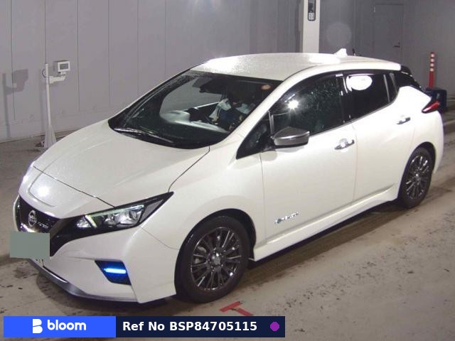 2021 Nissan Leaf