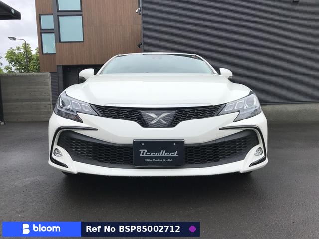 2019 Toyota Mark X