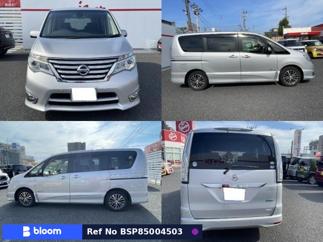 2014 Nissan Serena