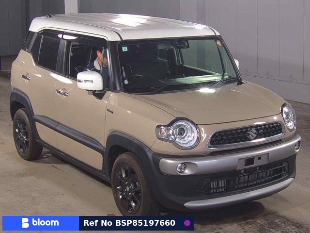 2019 Suzuki X BEE
