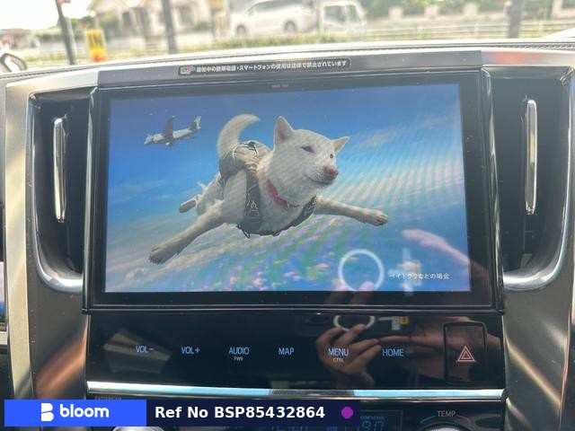 2018 Toyota Alphard