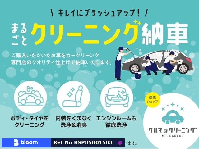 2019 Volkswagen THE Beetle