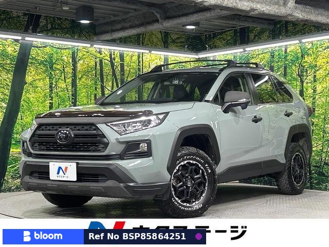2019 Toyota RAV4