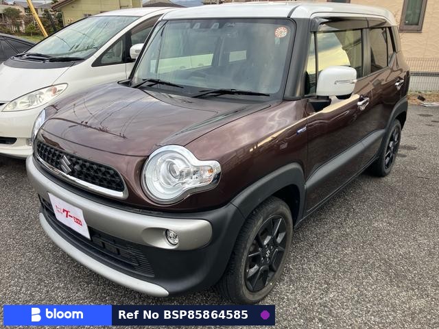2022 Suzuki X BEE