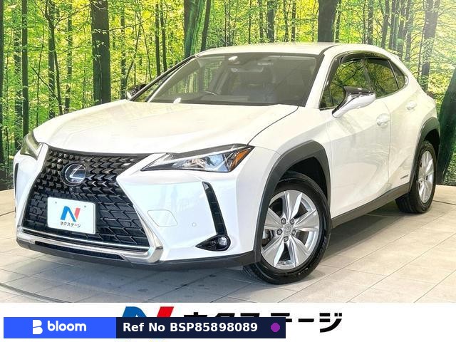 2019 Lexus UX