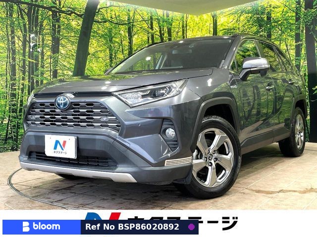 2019 Toyota RAV4
