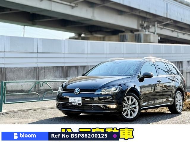 2019 Volkswagen Golf Variant