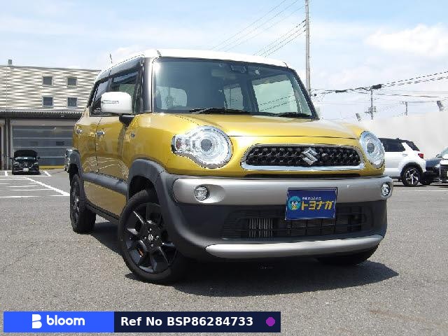 2019 Suzuki X BEE