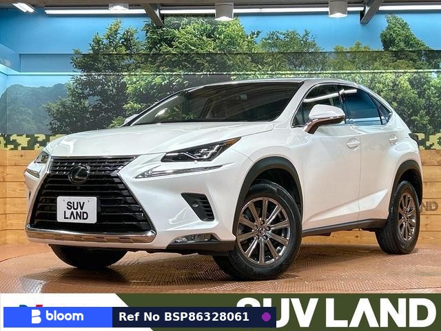 2017 Lexus NX