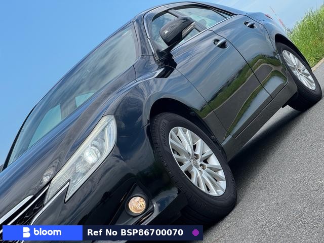 2013 Toyota Mark X