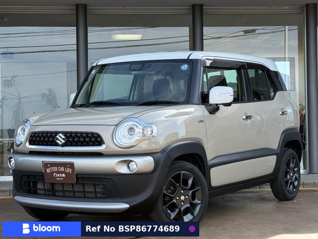 2018 Suzuki X BEE