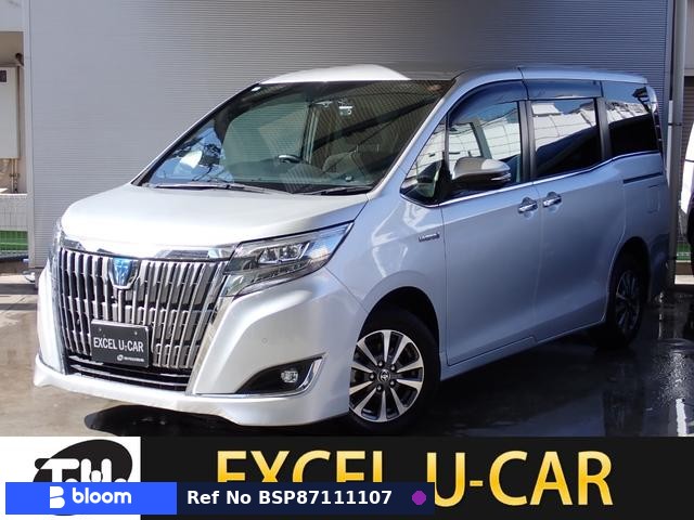2019 Toyota Esquire