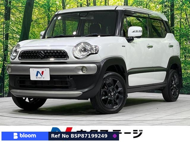 2018 Suzuki X BEE