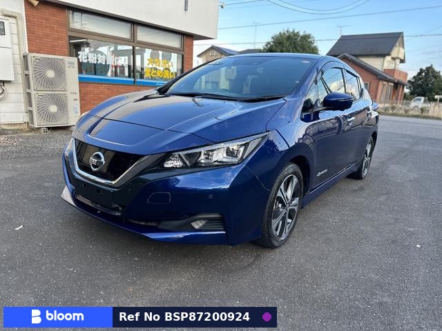 2022 Nissan Leaf