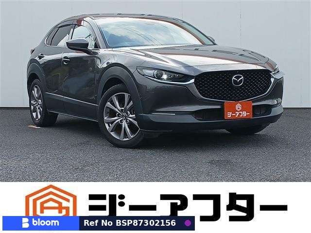 2019 Mazda CX-30