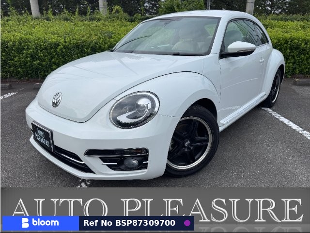 2017 Volkswagen THE Beetle