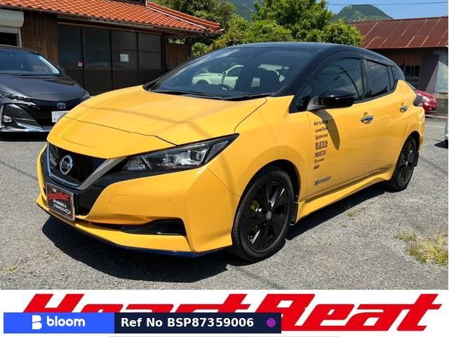 2018 Nissan Leaf