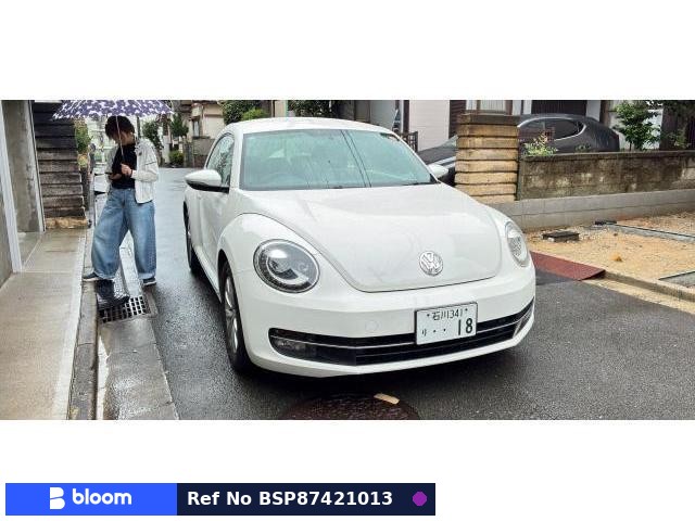2013 Volkswagen THE Beetle