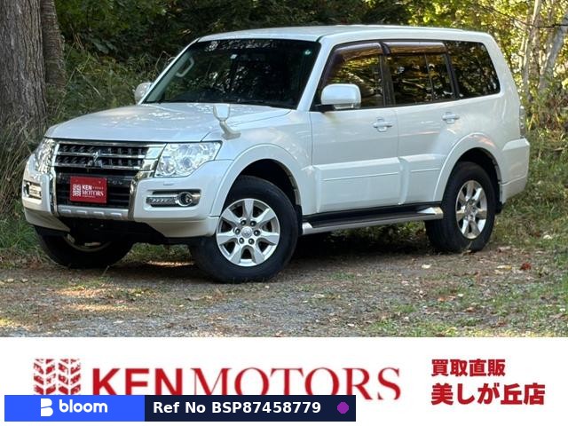 2017 Mitsubishi Pajero