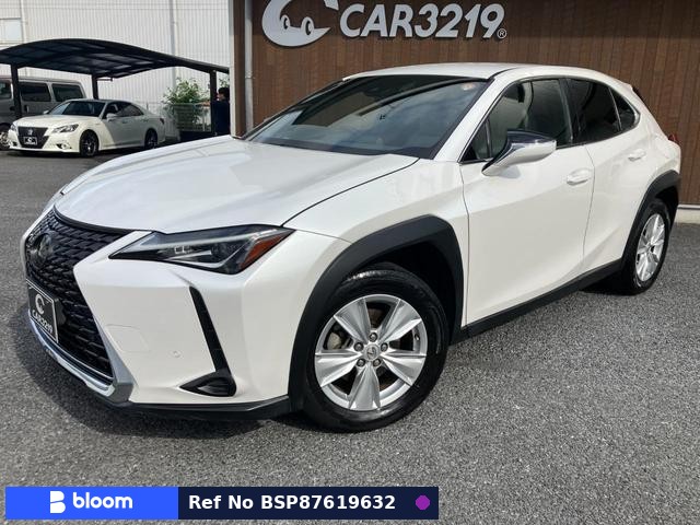 2019 Lexus UX
