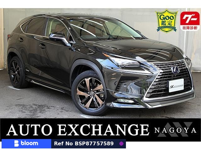 2018 Lexus NX