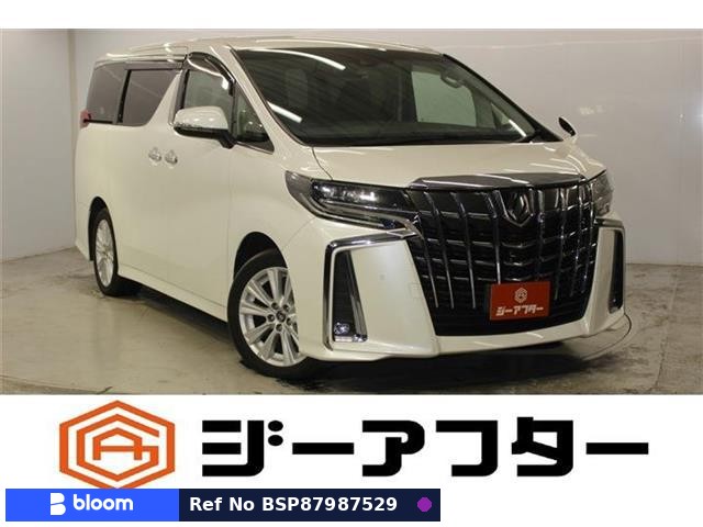2019 Toyota Alphard